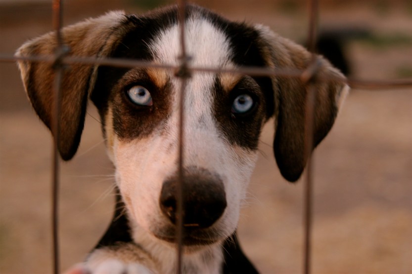 A Recovered Beethoven